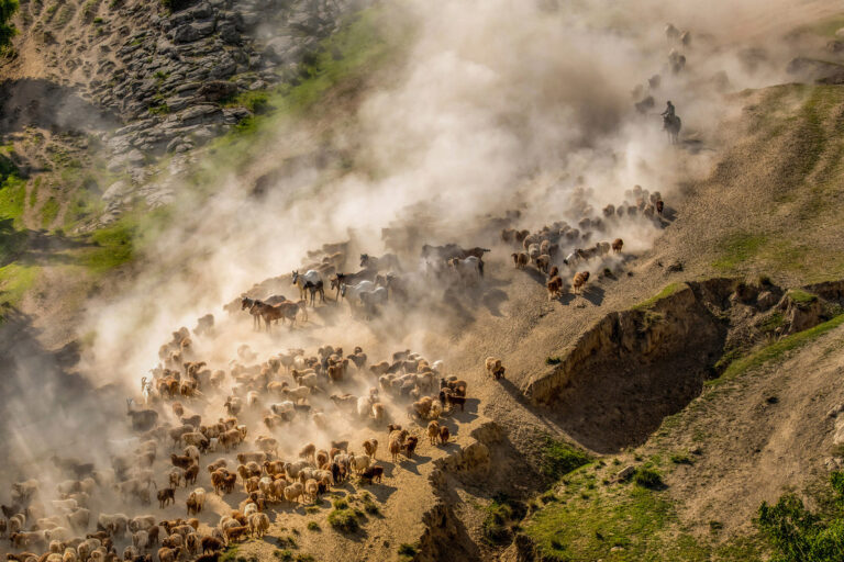 Nomadic Life - 04 Seasonal Migration